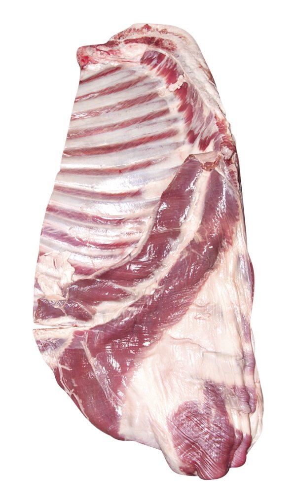 Costela